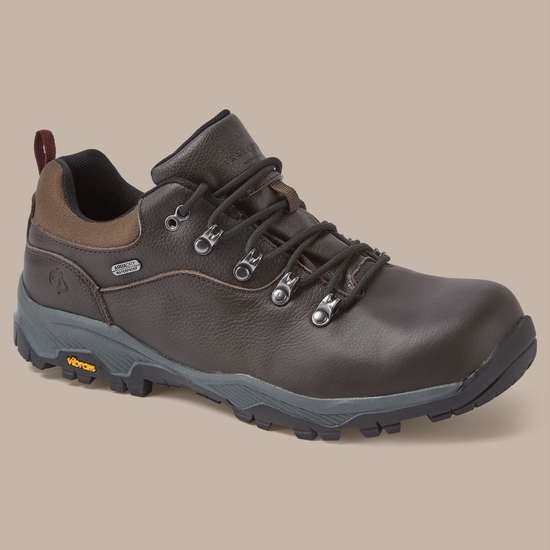 Men's Lite NewHide Walking Shoe Mocha