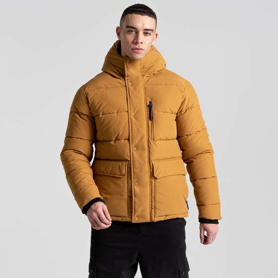 Men's Dunbeath Insulated Hooded Jacket - Taupe | Craghoppers UK