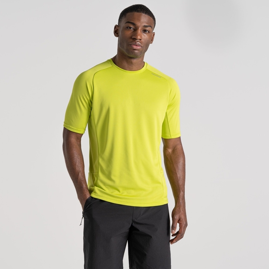 Men's Dynamic Pro Short Sleeved T-Shirt - Apple | Craghoppers UK