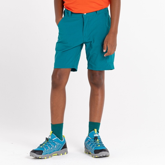 Kids' Reprise II Lightweight Shorts Fortune Green