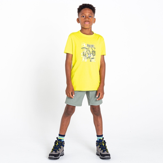 Kids' Reprise II Lightweight Shorts Agave Green