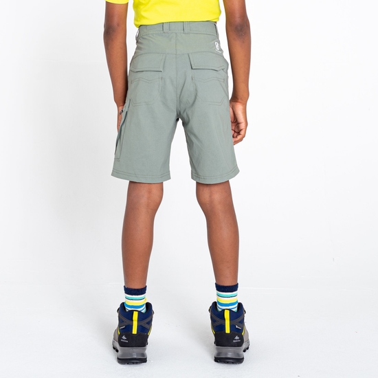 Kids' Reprise II Lightweight Shorts Agave Green