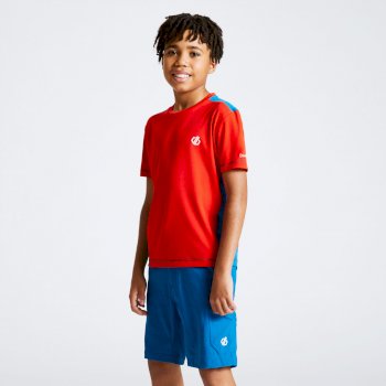 Dare 2b T-Shirt Technique Junior Rightful L/éger et Respirant avec Propri/ét/é de S/échage Rapide et Motifs R/éfl/échissants T-Shirts//Polos//Vests Mixte Enfant