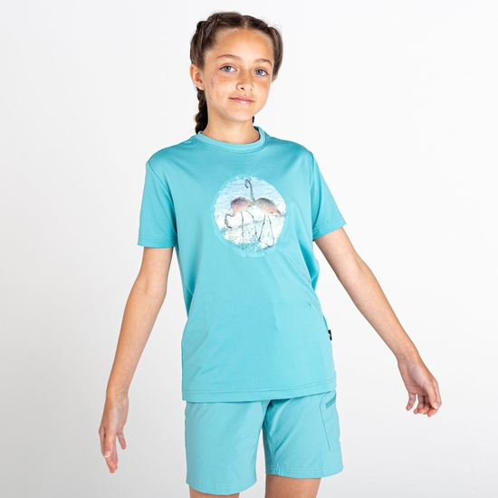 T-Shirt Junior RIGHTFUL Avec Imprimé Vert