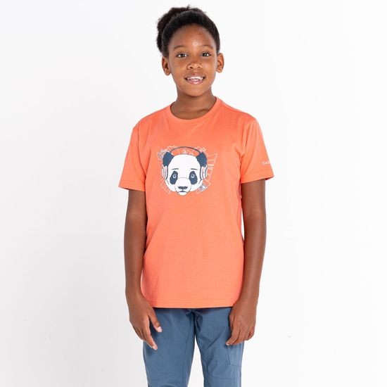 Kids' Trailblazer Graphic T-Shirt Neon Peach