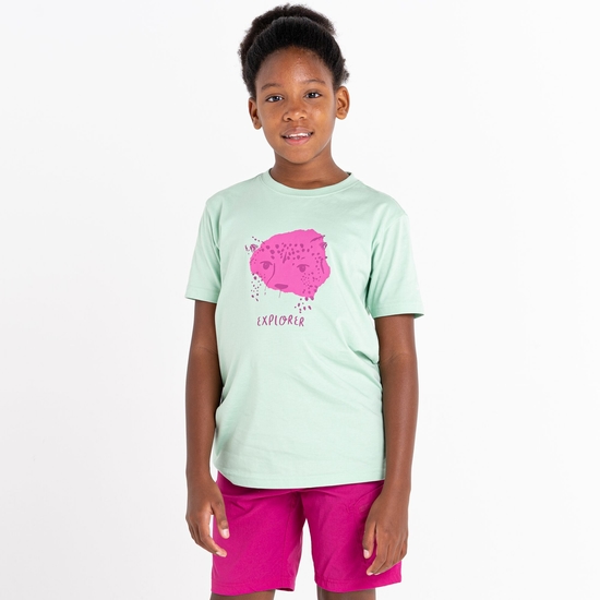 Kids' Trailblazer Graphic T-Shirt Grayed Jade