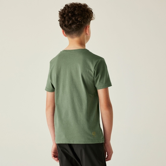Kids' Trailblazer II T-Shirt Olivine Green 