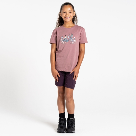 Kids' Trailblazer II T-Shirt Mauve