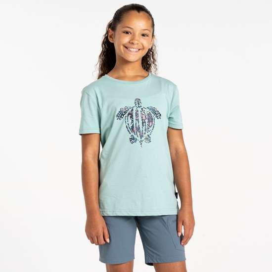 Kids' Trailblazer II T-Shirt Aquifer
