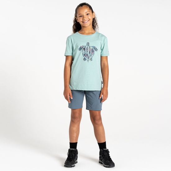 Kids' Trailblazer II T-Shirt Aquifer