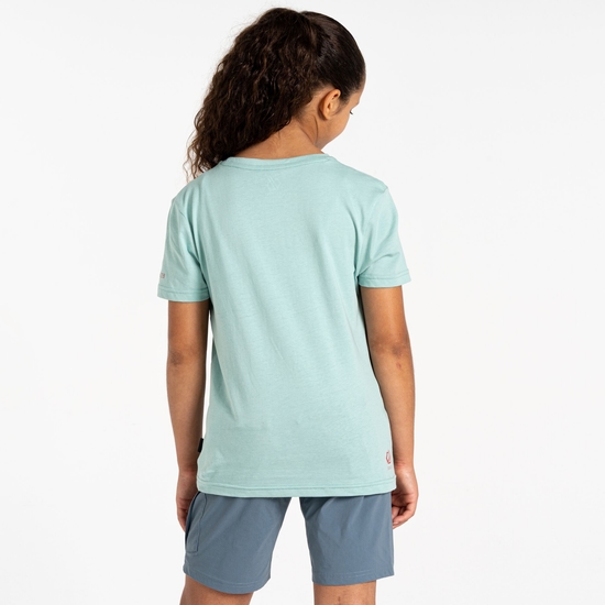Kids' Trailblazer II T-Shirt Aquifer