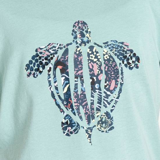 Kids' Trailblazer II T-Shirt Aquifer