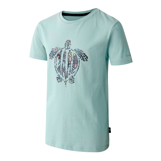 Kids' Trailblazer II T-Shirt Aquifer
