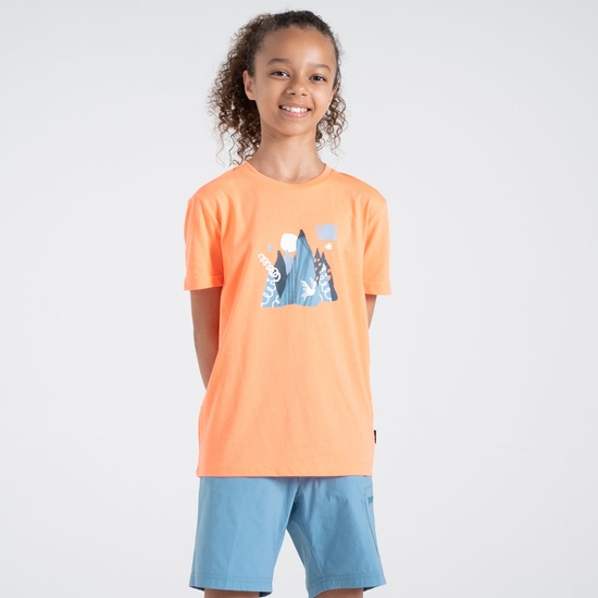 Kinder Trailblazer II T-Shirt Orange