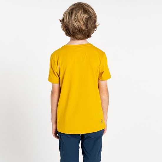 Kids' Trailblazer II T-Shirt Yellow Gold