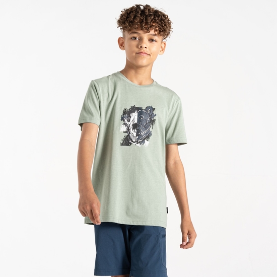 Kinder Trailblazer II T-Shirt Grün