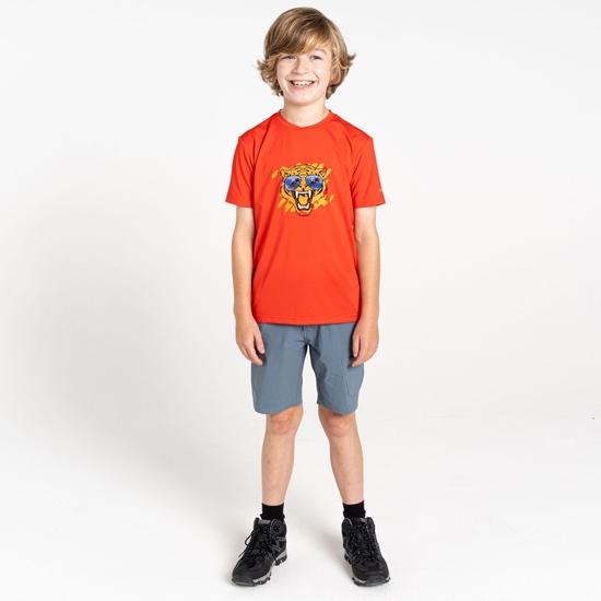 Kids' Amuse II T-Shirt Seville Red