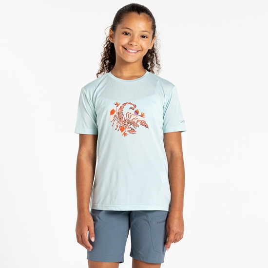 T-shirt enfant Amuse II Bleu