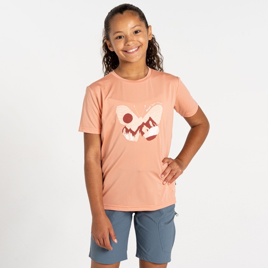 T-shirt enfant Amuse II Orange