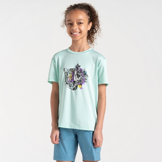 Kids' Amuse II T-Shirt Mint Green