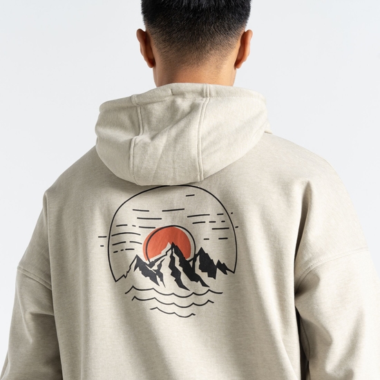 Sweat à capuche graphique Homme DISTINCTLY Gris
