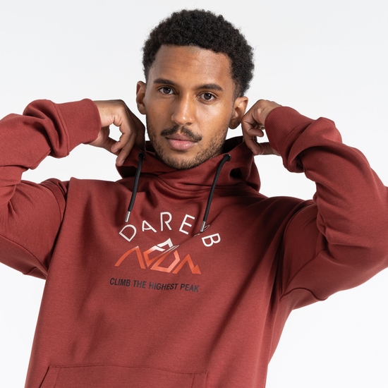 Sweat à capuche graphique Homme DISTINCTLY Brun