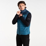 Kingfisher Blue & Black