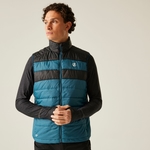 Kingfisher Blue & Black