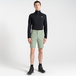 Lilypad Green