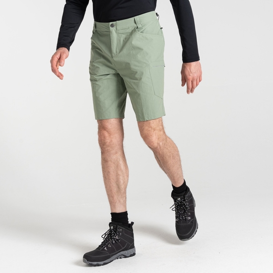 Men's Tuned In II Walking Shorts Lilypad Green