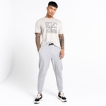 Ash Grey