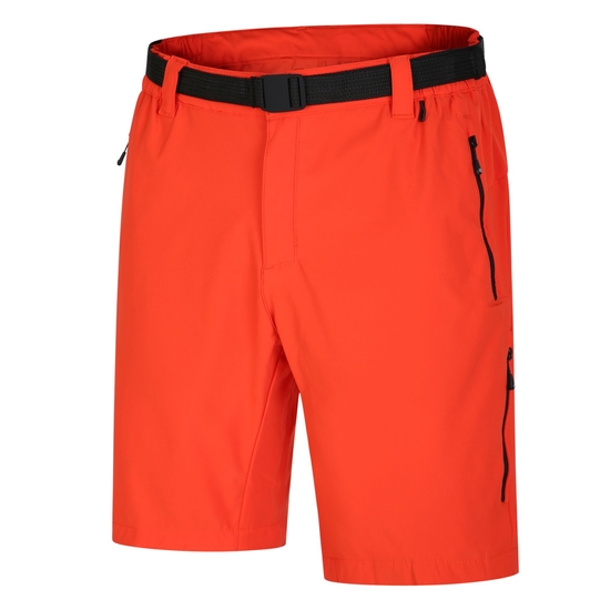 Tuned In Pro Homme Short léger Rouge