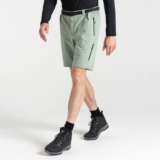 Men's Tuned In Pro Lightweight Short Lilypad Green