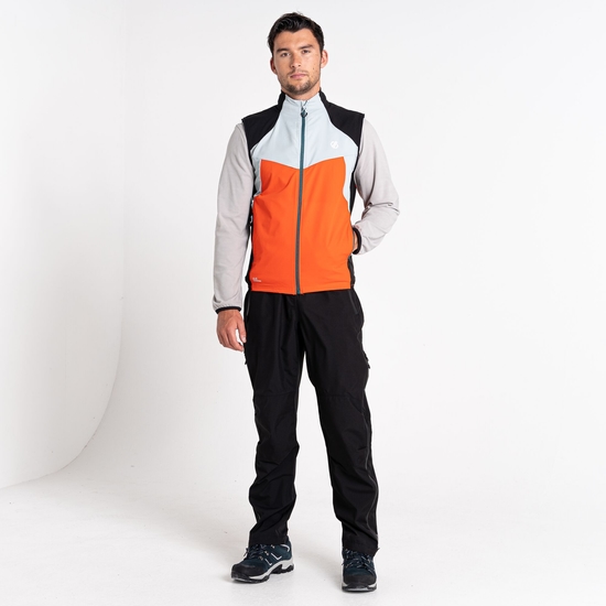 Men's Latitudinal Softshell Vest  Trail Blaze Black