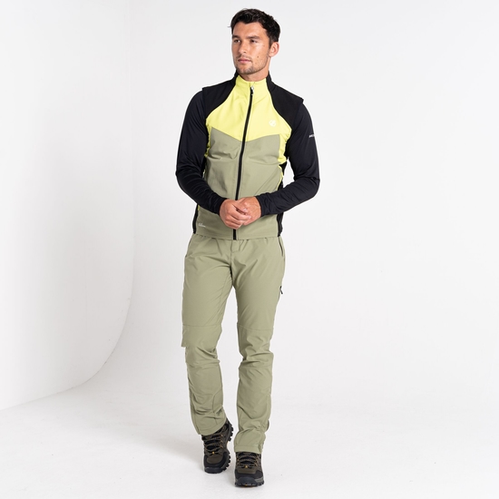 Men's Latitudinal Softshell Vest  Green Algae
