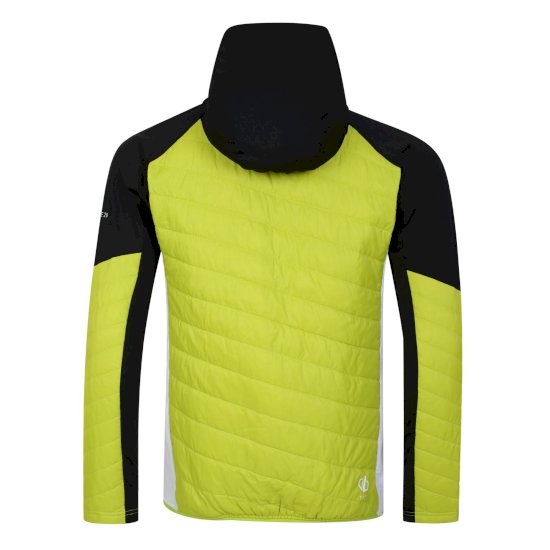 Men's Gendarme Wool Padded Hybrid Jacket Black Green Algae