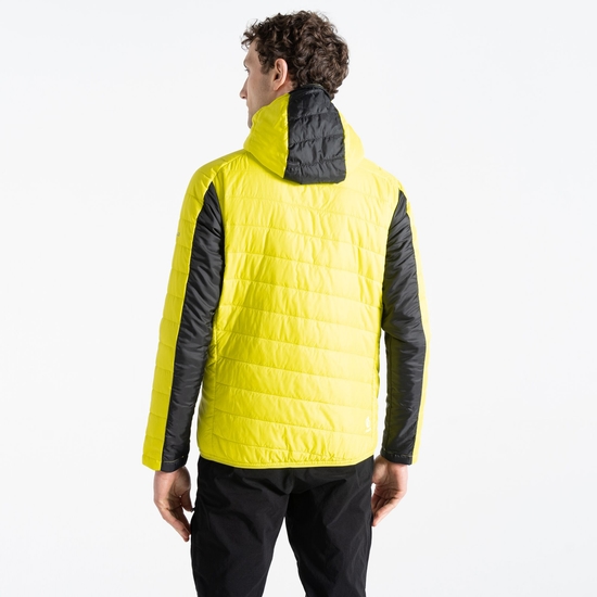 Touring Homme Veste rembourrée Jaune