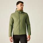 Olivine Green/Yellow Gold