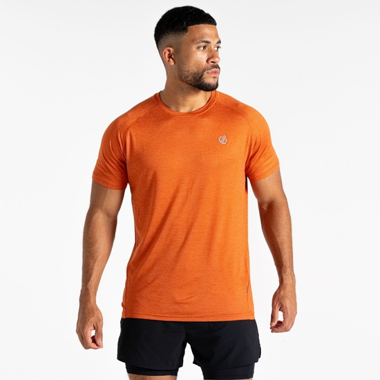 T-Shirt Homme PERSIST Brun
