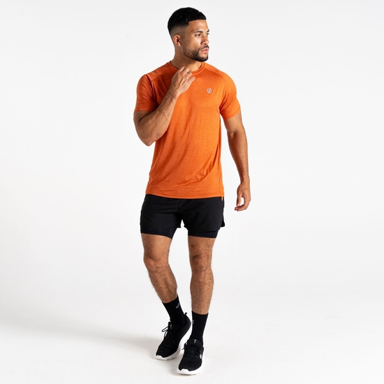 T-Shirt Homme PERSIST Brun