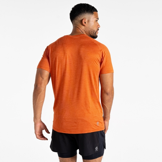 T-Shirt Homme PERSIST Brun
