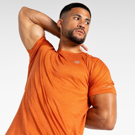 T-Shirt Homme PERSIST Brun