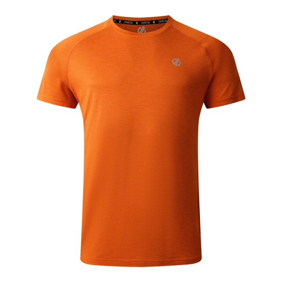 T-Shirt Homme PERSIST Brun
