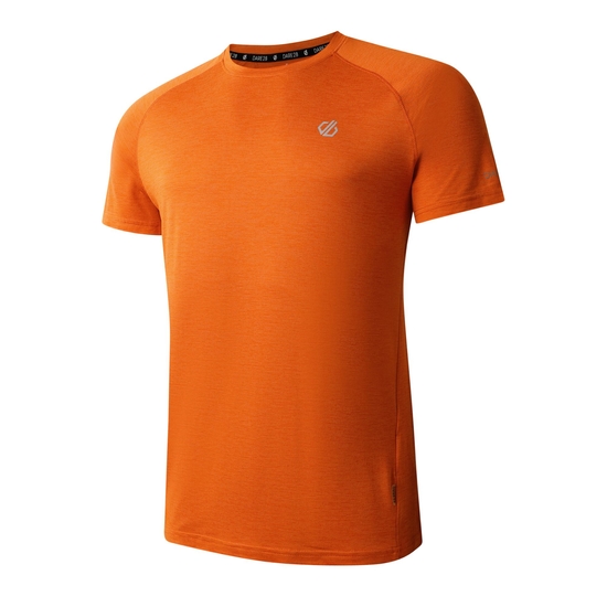 T-Shirt Homme PERSIST Brun