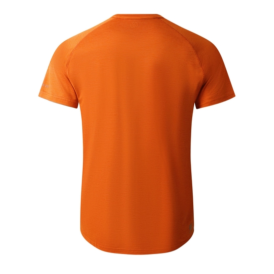 T-Shirt Homme PERSIST Brun