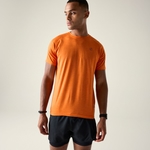 Burnt Orange