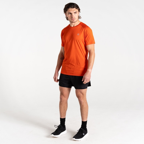 Men's Accelerate Fitness T-Shirt Tuscan Red