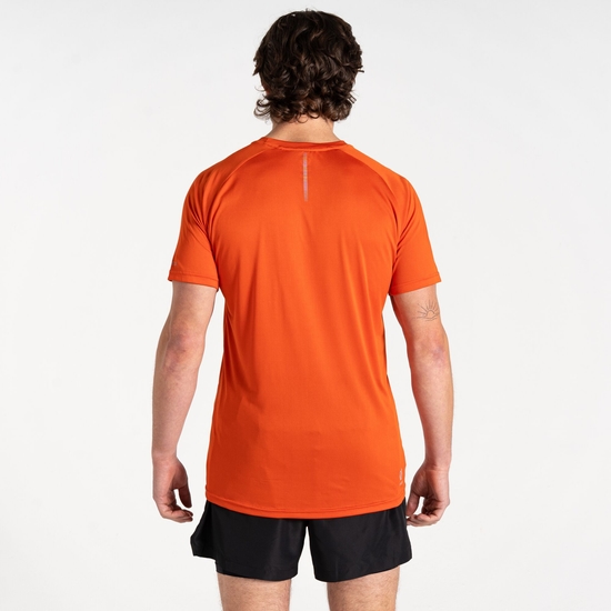 Men's Accelerate Fitness T-Shirt Tuscan Red