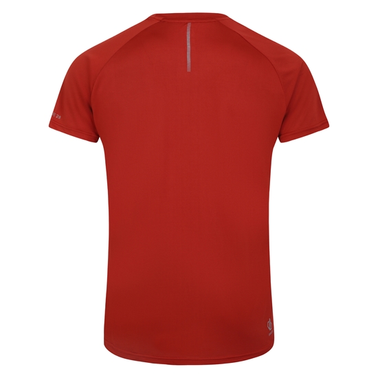Men's Accelerate Fitness T-Shirt Tuscan Red