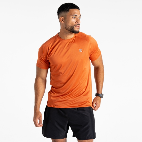 T-shirt de fitness Homme Accelerate Brun